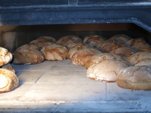 Brot - frisch aus dem Ofen